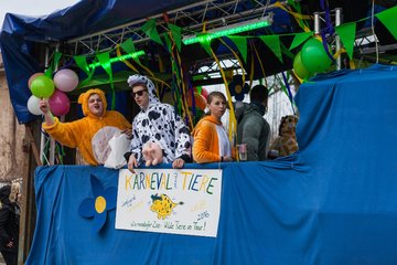 Bild 387 - Latuff 2016 Umzug